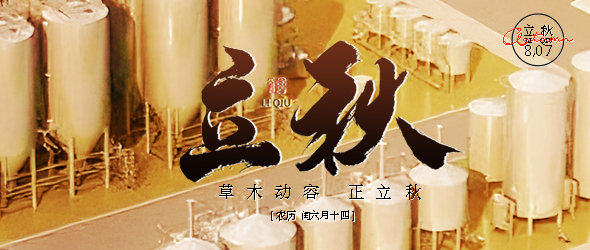 清風(fēng)送立秋，專業(yè)筑基石?